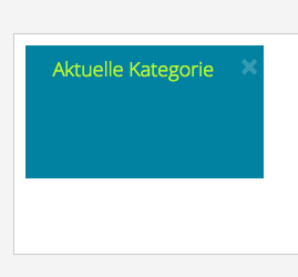 Recolize Filter: Aktuelle Kategorie